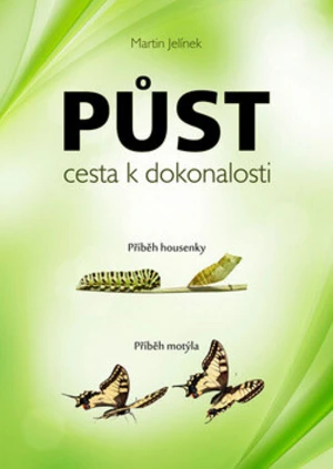 Půst cesta k dokonalosti - Martin Jelínek