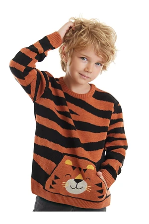 Denokids Tiger Boy Brown Sweater