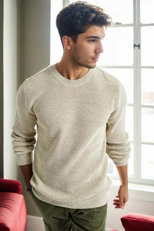 18369 Dewberry Knitwear Mens Sweater-BEIGE