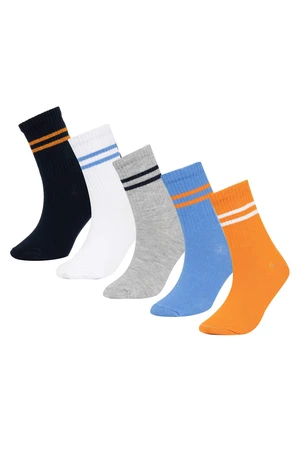 DEFACTO Boy 5 Piece Long sock