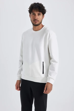 DEFACTO Modern Fit Long Sleeve Sweatshirt