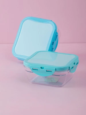 Mint container for food