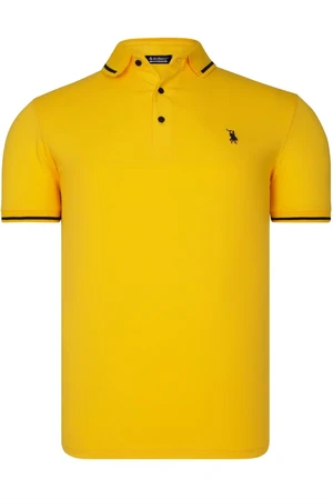 Polo da uomo dewberry