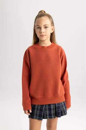 DEFACTO Oversize Fit Crew Neck Sweatshirt