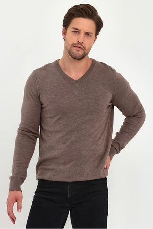 Lafaba Men's Brown V-Neck Basic Knitwear Sweater