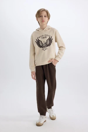 DEFACTO Boy 2-Piece Set Hooded Printed Thick Sweatshirt Elastic Waist Tracksuit Bottoms