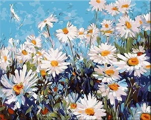 Zuty Pintura por números Daisies