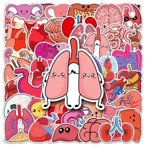 50Pcs Cartoon Anatomy Map Human Body Organ Stickers for Water Bottle Laptop Luggage Phone Waterproof Sticker Decals Kids Toys