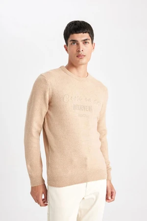 DEFACTO Relax Fit Crew Neck Printed Knitwear Sweater