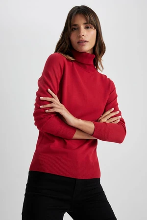 DEFACTO Regular Fit Turtleneck Basic Sweater