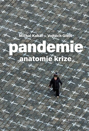 Pandemie Anatomie krize - Michal Kubal, Vojtěch Gibiš