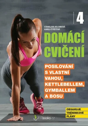 Domácí cvičení 4 - Stanislava Holomková, Kamila Štreitová