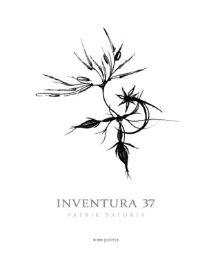 Inventura 37 - Patrik Satoria - e-kniha