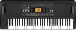 Korg EK-50 Keyboard s dynamikou