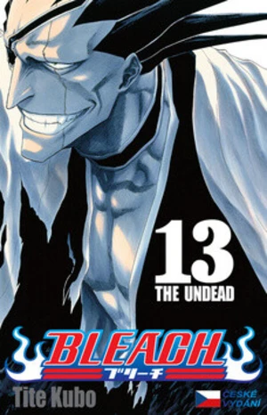 Bleach 13 - Tite Kubo