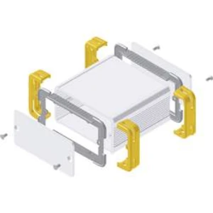 Profilové pouzdro Fischer Elektronik FR 55 25 100 ME 10035341, 114 x 63.6 x 33 , hliník, přírodní, žlutá, 1 ks