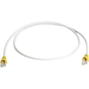 Telegärtner RJ45 (krížený) sieťový prepojovací kábel CAT 6A S/FTP 1.00 m sivá samozhášavý, s ochranou