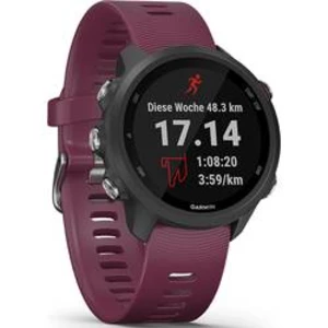 Fitness hodinky Garmin Forerunner 245