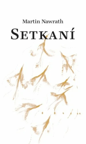 Setkaní - Jan Pražan, Martin Nawrath