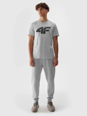 Men's jogger sweatpants 4F - grey