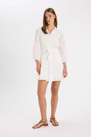 DEFACTO Shirt Collar Embroidered Long Sleeve Mini Dress