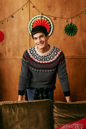 DEFACTO Christmas Themed Standard Fit Regular Cut Patterned Crew Neck Knitwear Sweater