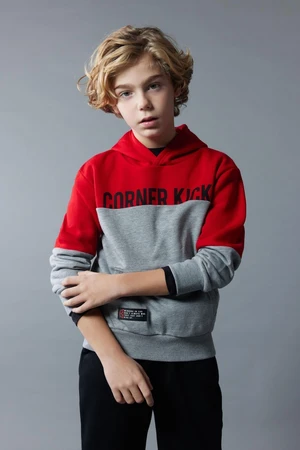 DEFACTO Boy's Hooded Printed Thick Sweatshirt