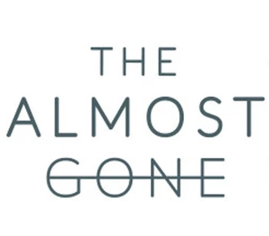 The Almost Gone Steam CD Key