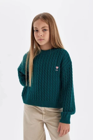 DEFACTO Girl's Dark Green Standard Fit Crew Neck Knitwear Sweater