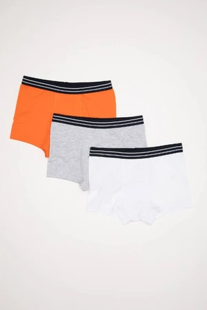 DEFACTO Size 3-Pack Boxer