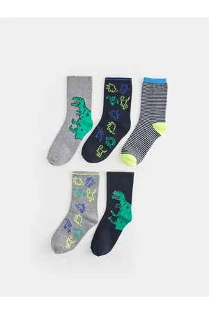 LC Waikiki Patterned Boy Socks Set of 5