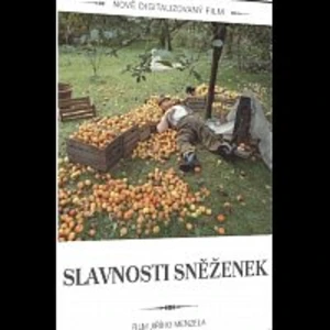 Různí interpreti – Slavnosti sněženek DVD