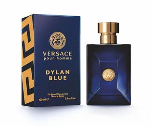 Versace Dylan Blue pour Homme Deo Spray 100 ml