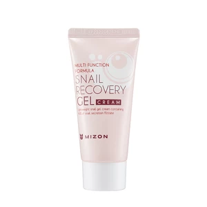 Mizon Pleťový gel s filtrátem hlemýždího sekretu 80% pro problematickou pleť (Snail Recovery Gel Cream) 45 ml