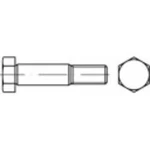 Šrouby lícované TOOLCRAFT 111901, N/A, M20, 150 mm, ocel, 1 ks