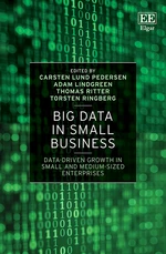 Big Data in Small Business