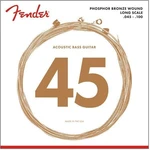 Fender Bass Guitar Cordes pour basse acoustique