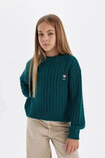 DEFACTO Girl Dark Green Standard Fit Crew Neck Knitwear Sweater