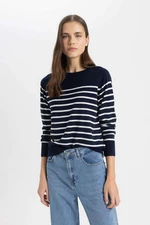 DEFACTO Regular Fit Crew Neck Basic Sweater