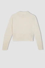 DEFACTO Girl Standard Fit Crew Neck Knitwear Sweater