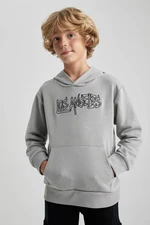 DEFACTO Boy's Thick Hooded Sweatshirt