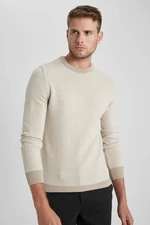 DEFACTO Standard Fit Regular Cut Crew Neck Knitwear Sweater