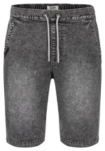 Men's shorts LOAP DENIS Grey