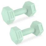 Spokey MONSTER Hexagonal dumbbell set, 1 kg