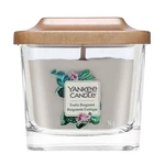 Yankee Candle Exotic Bergamot vonná svíčka 96 g