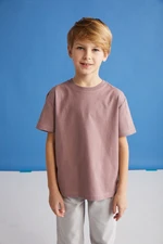 GRIMELANGE Fae Boys 100% Cotton Short Sleeve Crew Neck Damson / Gray / White T-shirt