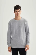 DEFACTO Regular Fit Crew Neck Basic Sweatshirt