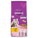 Whiskas Suché 14kg - Junior Kuracie