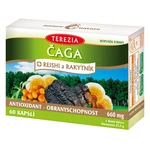 TEREZIA Čaga + reishi a rakytník 60 kapsúl