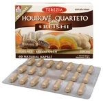 Terezia Company Hubové Quartet s reishi 60 kapsúl